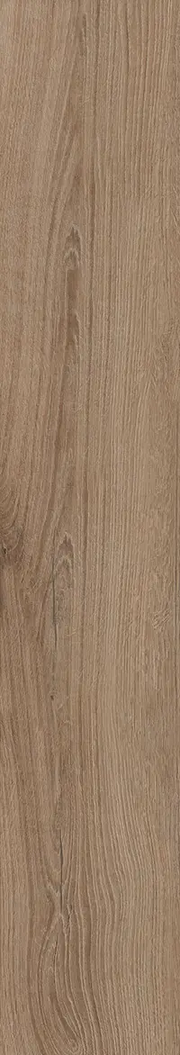 Oak